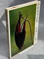 田村栄写真集自然の片隅で