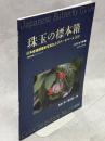 珠玉の標本箱 日本産蝶類標本写真およびデータベース(23)シロチョウ科②ツマベニチョウ