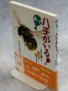 あっ!ハチがいる! : 世界のハチとハチの巣とハチの生活