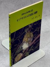 モリアオガエルの生態と観察