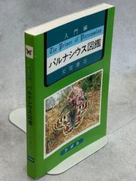 入門編パルナシウス図鑑