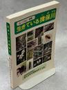 生きている揖保川 : 人・くらし・自然