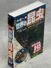 世界の昆虫大百科 : カラー版