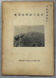 皿倉山周辺の昆虫