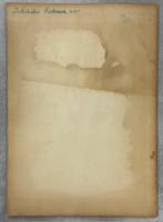 皿倉山周辺の昆虫