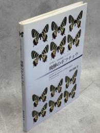 飛騨のギフチョウ