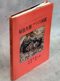原色生態アリの図鑑