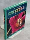 たのしい虫のかんさつ : 親と子の自然教室