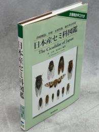日本産セミ科図鑑 : 詳細解説、形態・生態写真、鳴き声分析図