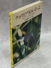 チョウとアリのいそっぷ : クロシジミとクロオオアリの助けあい