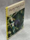 チョウとアリのいそっぷ : クロシジミとクロオオアリの助けあい