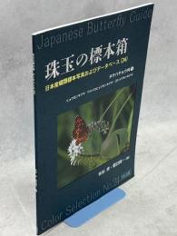 珠玉の標本箱 日本産蝶類標本写真およびデータベース(24)タテハチョウ科①ヒョウモンモドキ・ウスイロヒョウモンモドキ・コヒョウモンモドキ