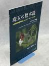珠玉の標本箱 日本産蝶類標本写真およびデータベース(24)タテハチョウ科①ヒョウモンモドキ・ウスイロヒョウモンモドキ・コヒョウモンモドキ