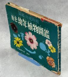 原色幼年植物図鑑