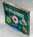 原色幼年植物図鑑