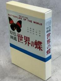 原色圖鑑 世界の蝶