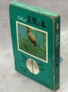 たのしい昆虫の本