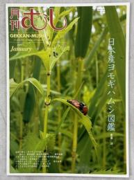 月刊むし491号　日本産ヨモギハムシ図鑑、他