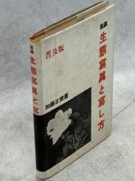 昆虫生態写真と写し方