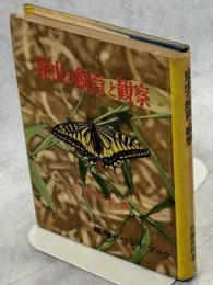 昆虫の飼育と観察