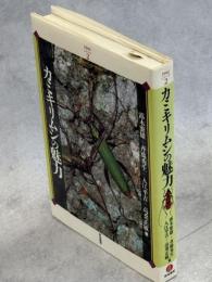 カミキリムシの魅力