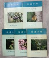 信濃の蝶
