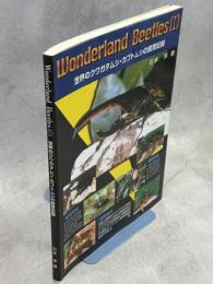 Wonderland Beetles (Ⅰ)　世界のクワガタムシ・カブトムシの飼育記録