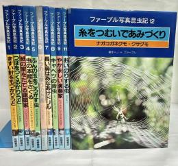ファーブル写真昆虫記
