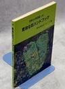 昆虫化石ハンドブック