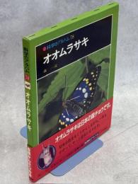 オオムラサキ