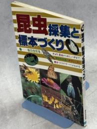 昆虫-採集と標本づくり