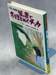 葉の裏で冬を生きぬくチョウ : ウラギンシジミ10年の観察