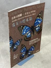 珠玉の標本箱 日本産蝶類標本写真およびデータベース(29)タテハチョウ科②オオムラサキ