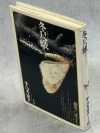冬尺蛾 : 厳冬に生きる