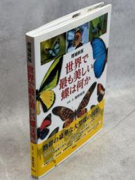 世界で最も美しい蝶は何か