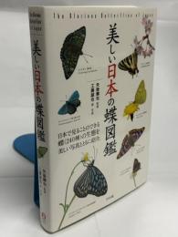 美しい日本の蝶図鑑