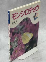 モンシロチョウ