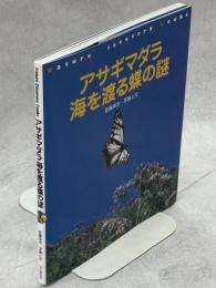 アサギマダラ海を渡る蝶の謎