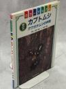 カブトムシ : クワガタムシの仲間