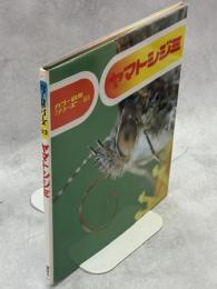 ヤマトシジミ