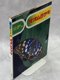 オオムラサキ