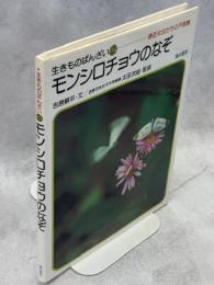 モンシロチョウのなぞ : 身近な虫たちの不思議