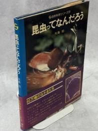 昆虫ってなんだろう