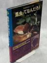 昆虫ってなんだろう