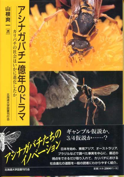 アシナガバチ一億年のドラマ カリバチの社会はいかに進化したか 山根爽一 著 南陽堂書店 古本 中古本 古書籍の通販は 日本の古本屋 日本の古本屋