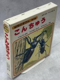 こんちゅう　全3冊(ちょうとはち／とんぼ・ばった／かぶとむし・せみ)