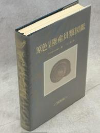 原色日本陸産貝類図鑑