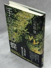 手のひらの蝶