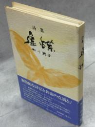 虚蝶 : 詩集