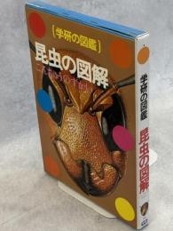 昆虫の図解